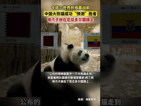 欧洲冠军联,决赛次回合,切尔西对马,世界杯半决赛,2026世界杯,赛程解析,赛事亮点,足球盛事