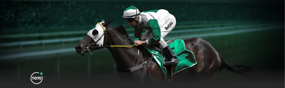 首位跨性别,裁判登国际,赛场,世界杯半决赛,2026世界杯,赛程解析,赛事亮点,足球盛事