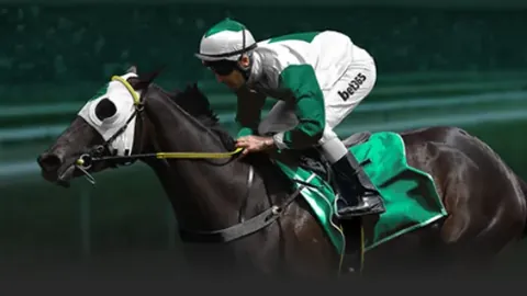 首位跨性别裁判登国际赛场，担任U女足欧洲预选赛罗体赛事仲裁